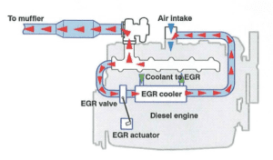 EGR valve blanking service