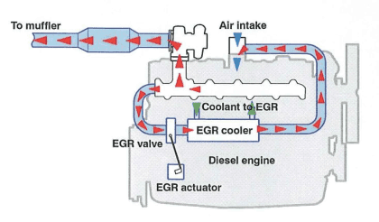 EGR Valve Blanking